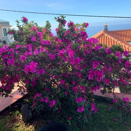 Ponta Do Sol Villa