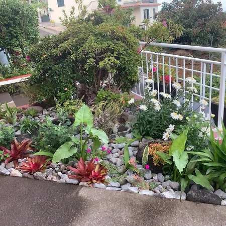 Ponta Do Sol Villa Villa *