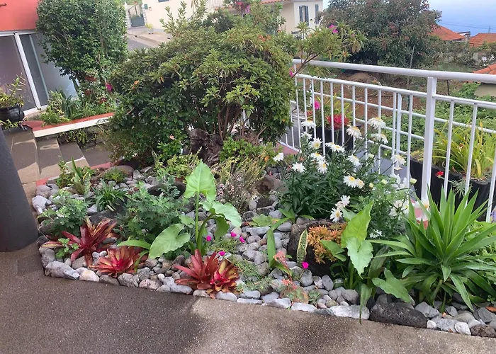 Ponta do Sol Villa Villa *